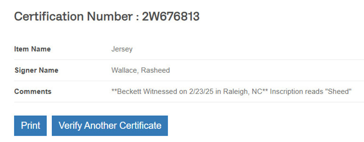 Rasheed Wallace Signed Mitchell & Ness Jersey Framed W/ Beckett BAS COA M&N