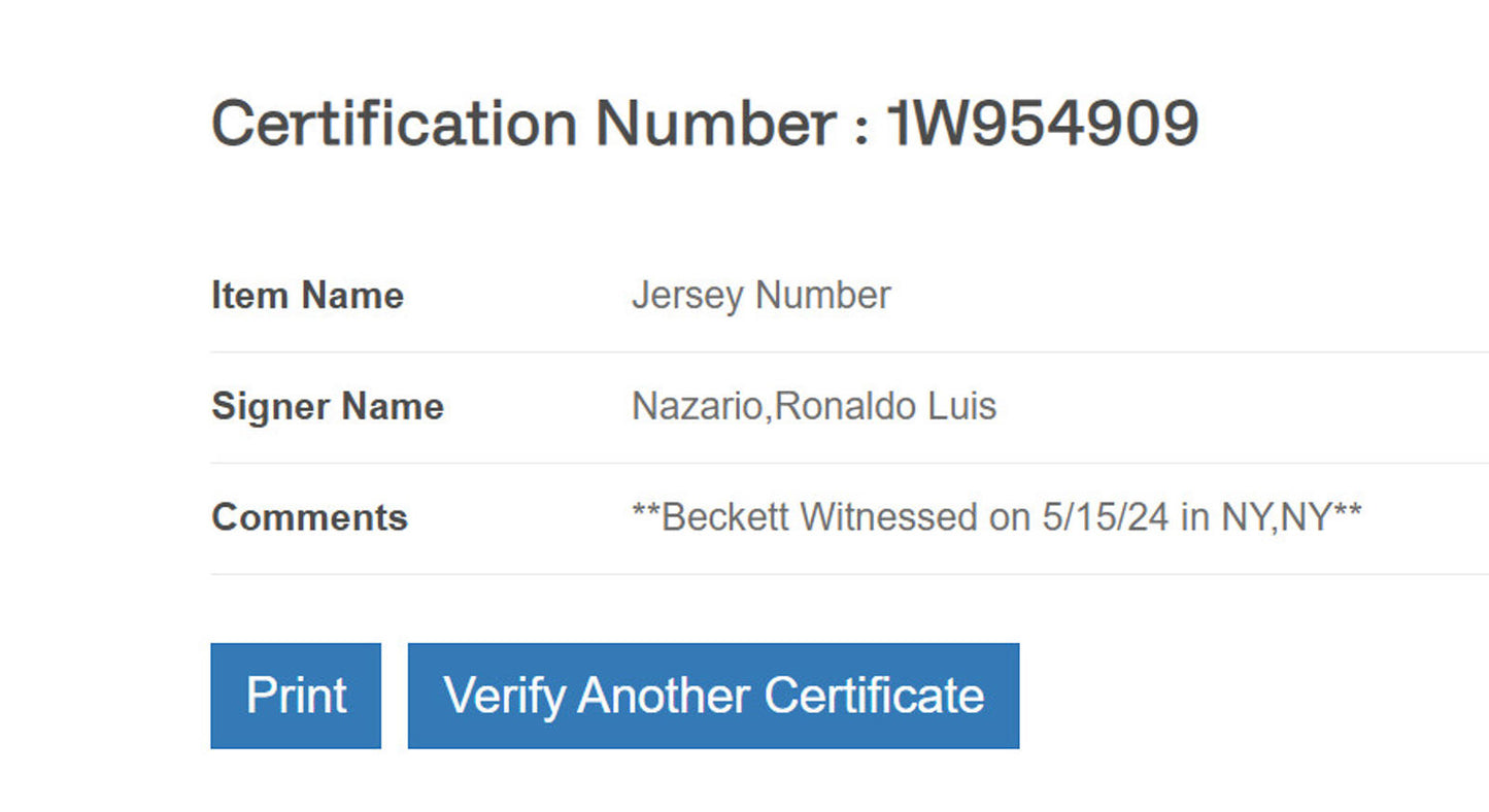 Ronaldo Nazario Signed Jersey Framed W/ Beckett BAS COA Brazil Nation Football