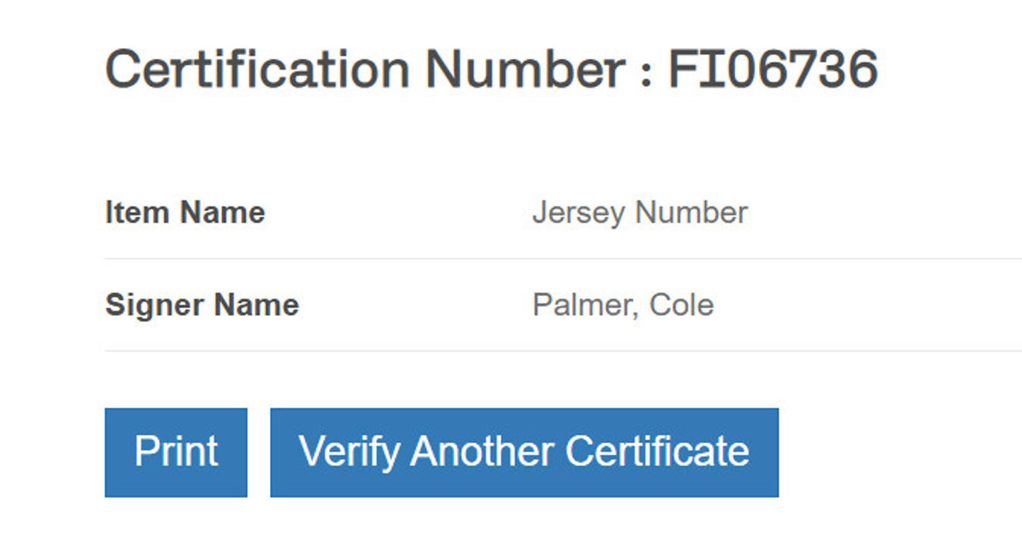 Cole Palmer Signed Jersey Framed W/ Beckett BAS COA Chelsea F.C. Blue Auto